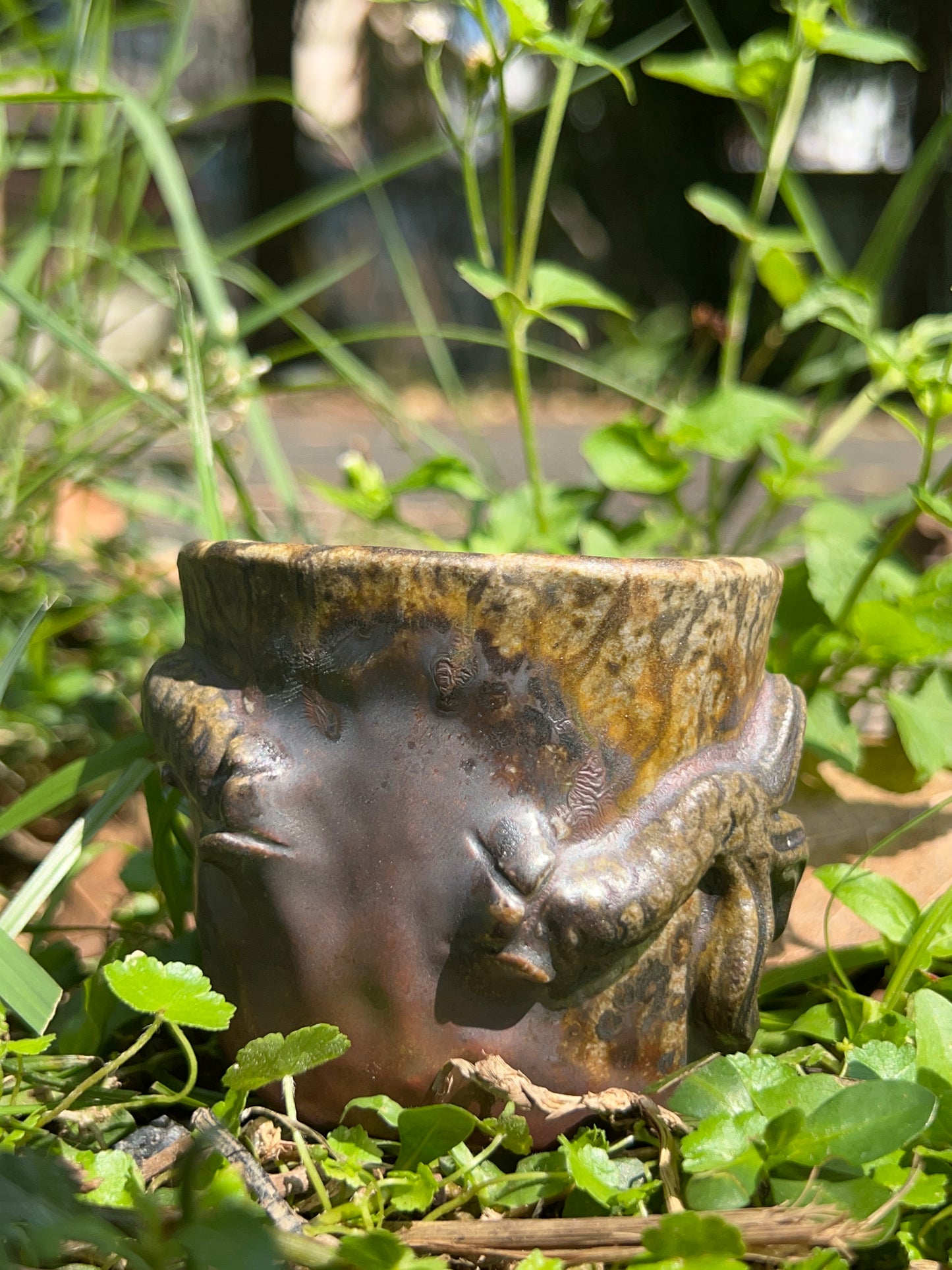 This is a woodfired tietai pottery dragon teacup