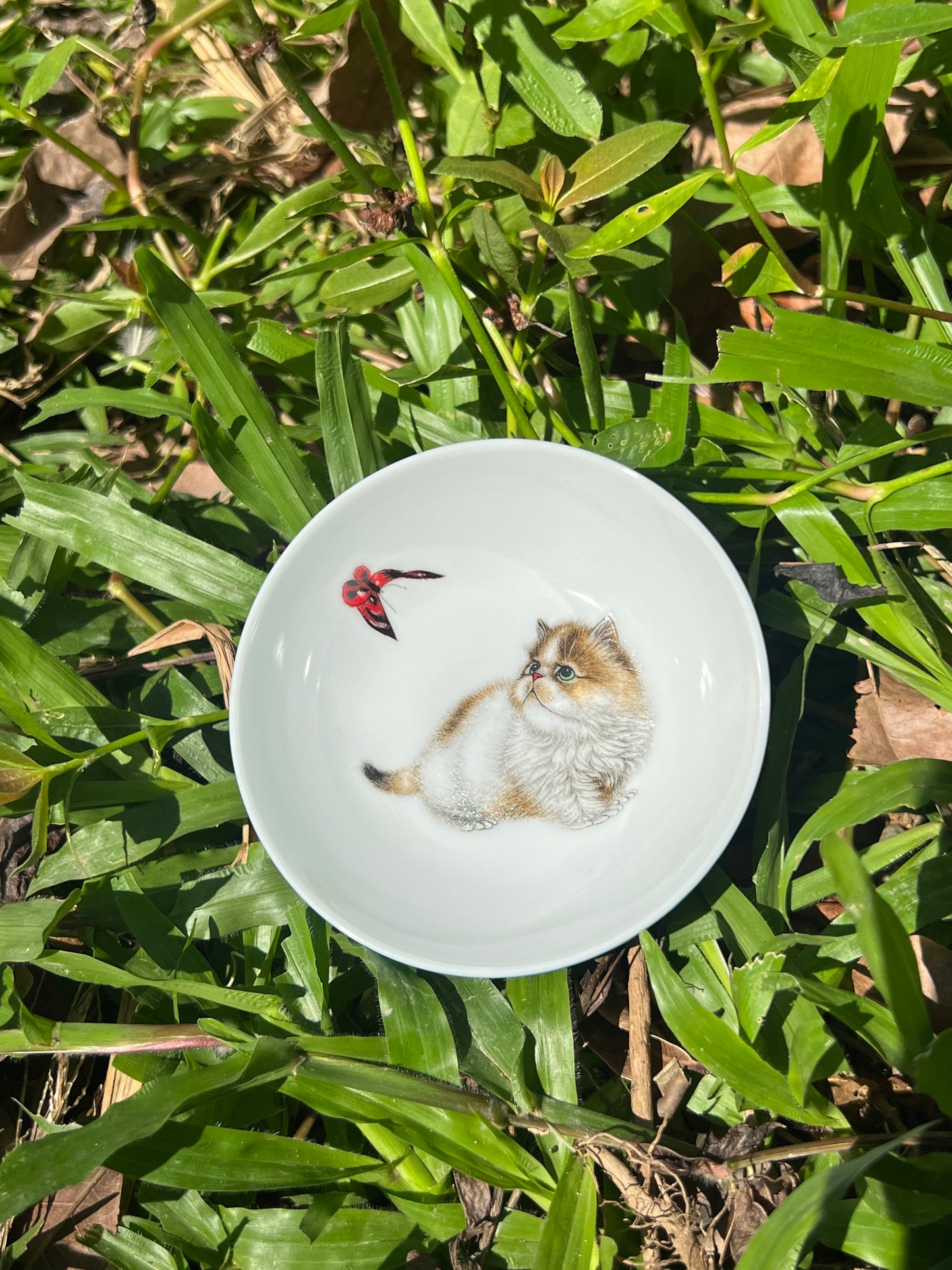 Handpainted Chinese Enamel Cat Animal Teacup Jingdezhen Master Ceramic Artwork