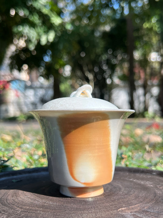 This is a woodfired pottery teapot.this is a pottery gaiwan