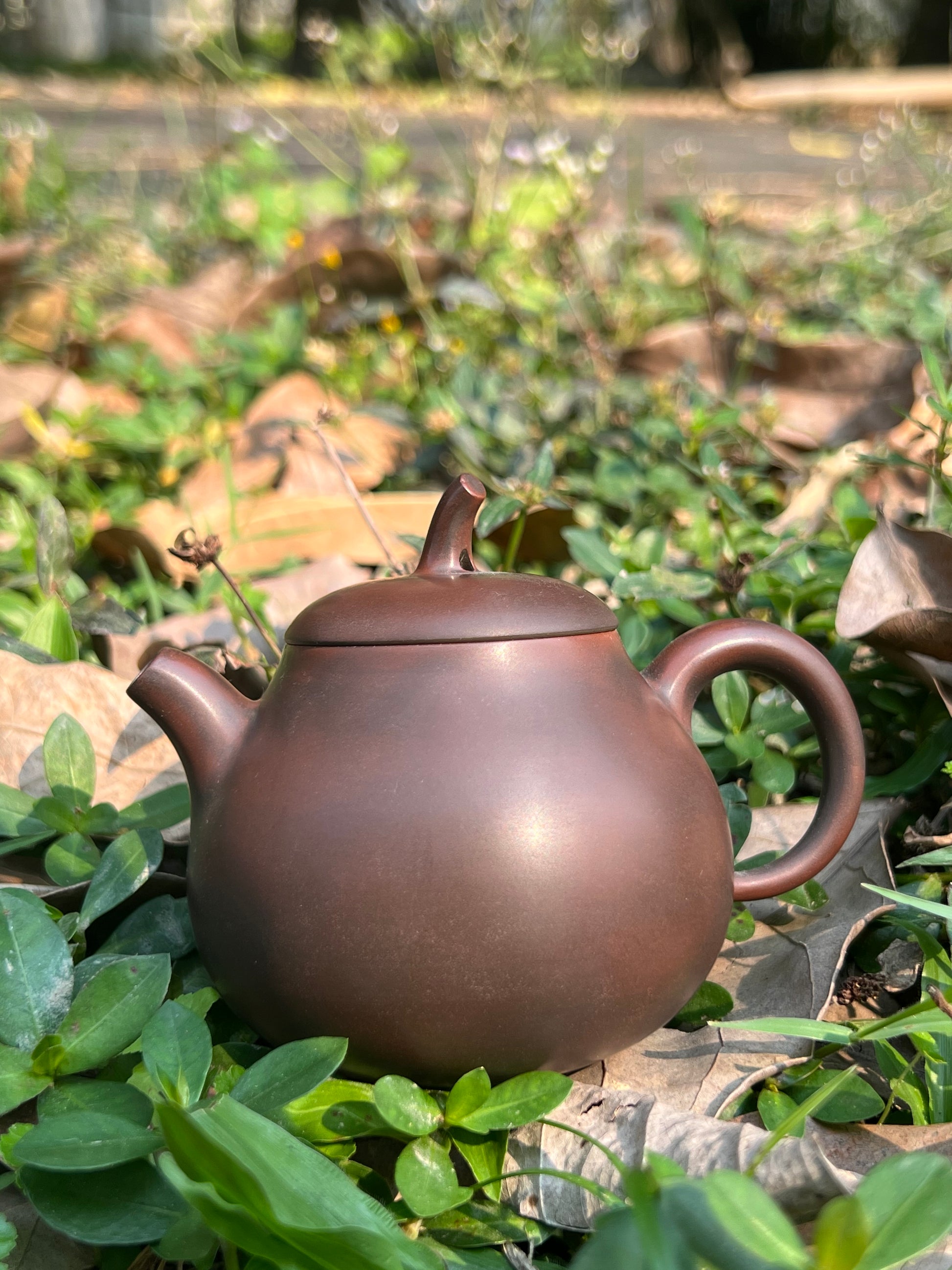 This is a Nixing teapot.this is a Chinese Nixing pottery clay teapot