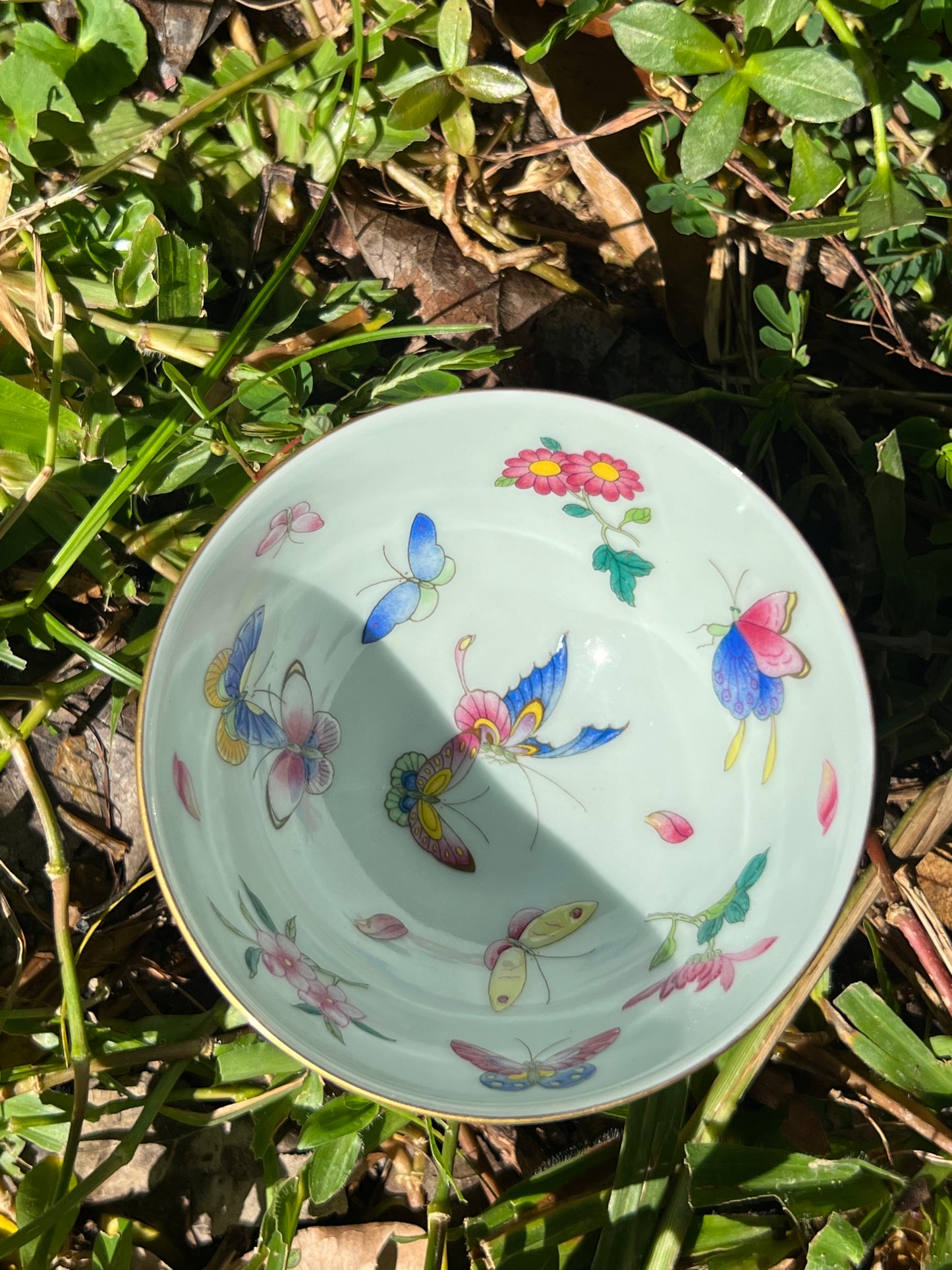 Hand Painted Chinese Butterfly Gaiwan Jingdezhen Master Ceramic Artwork