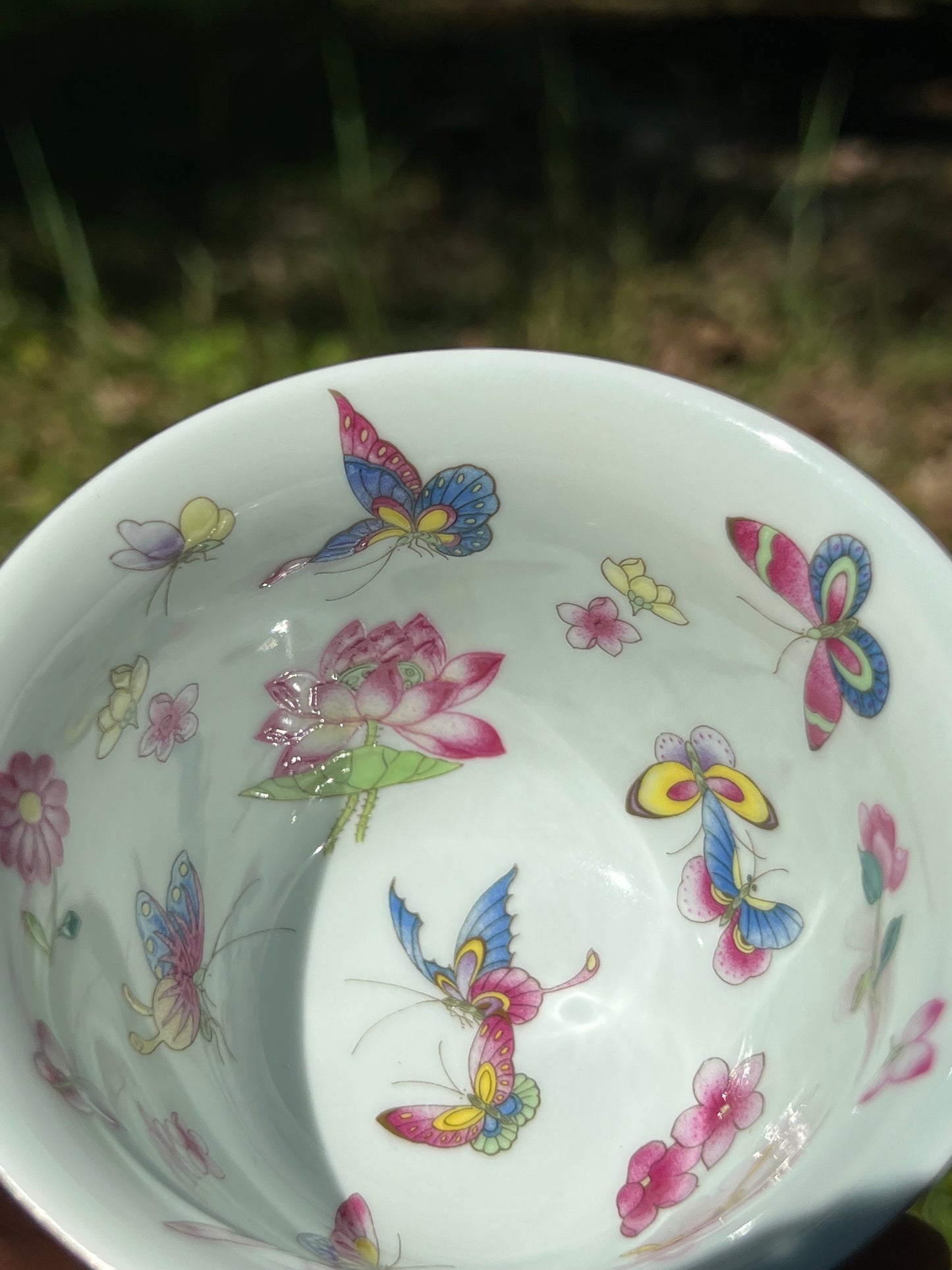 Hand Painted Chinese Butterfly Gaiwan Jingdezhen Master Ceramic Artwork