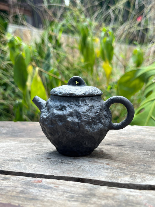 Handcrafted Chinese Purple Clay Teapot Small Capacity Kungfu Teapot Tea Ceremony