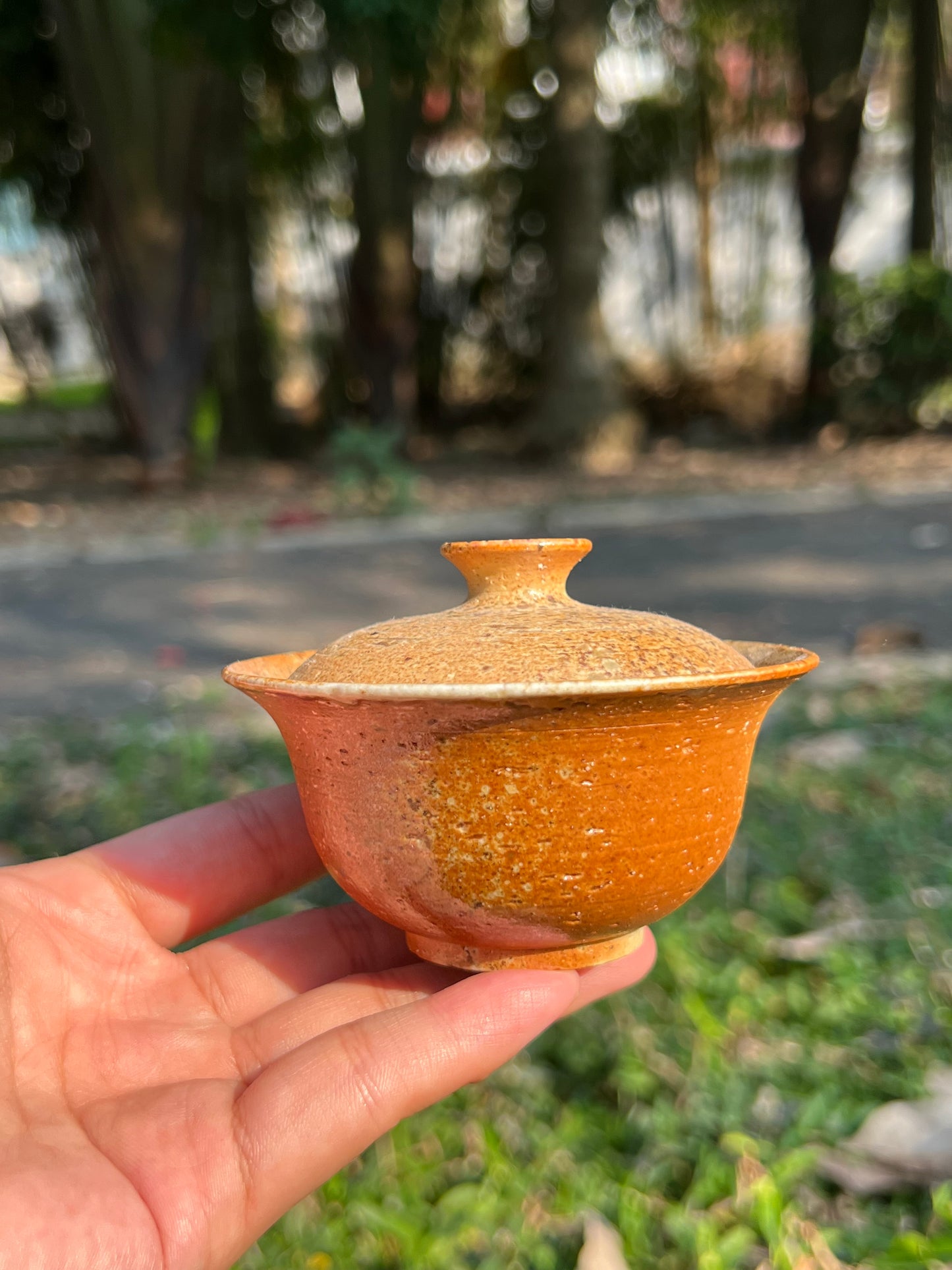 This is a pottery teapot.this is a pottery gaiwan