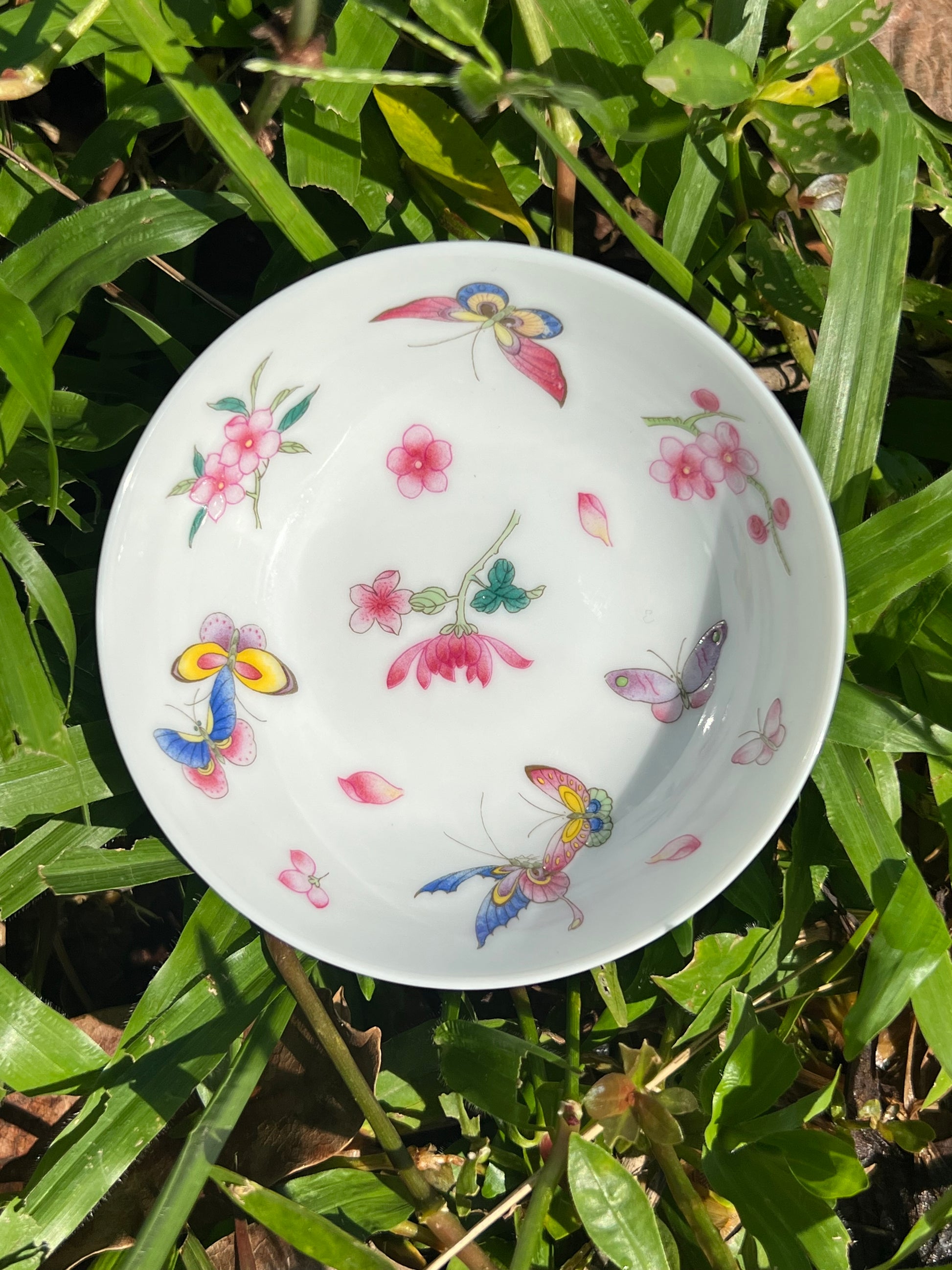 this is Chinese Jingdezhen enamel butterfly teacup. this is a ceramic teacup