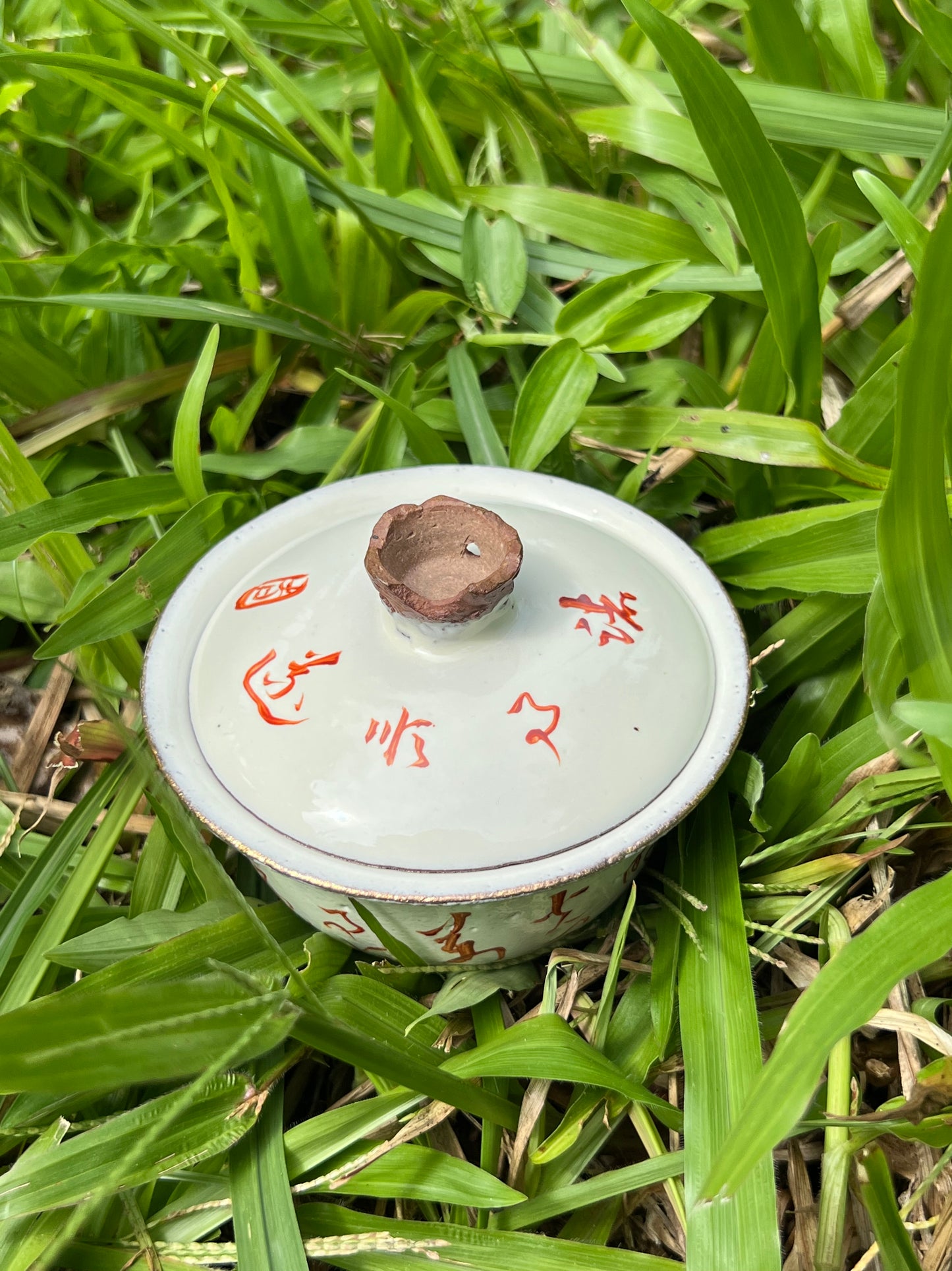 this is a pottery alum red gaiwan 