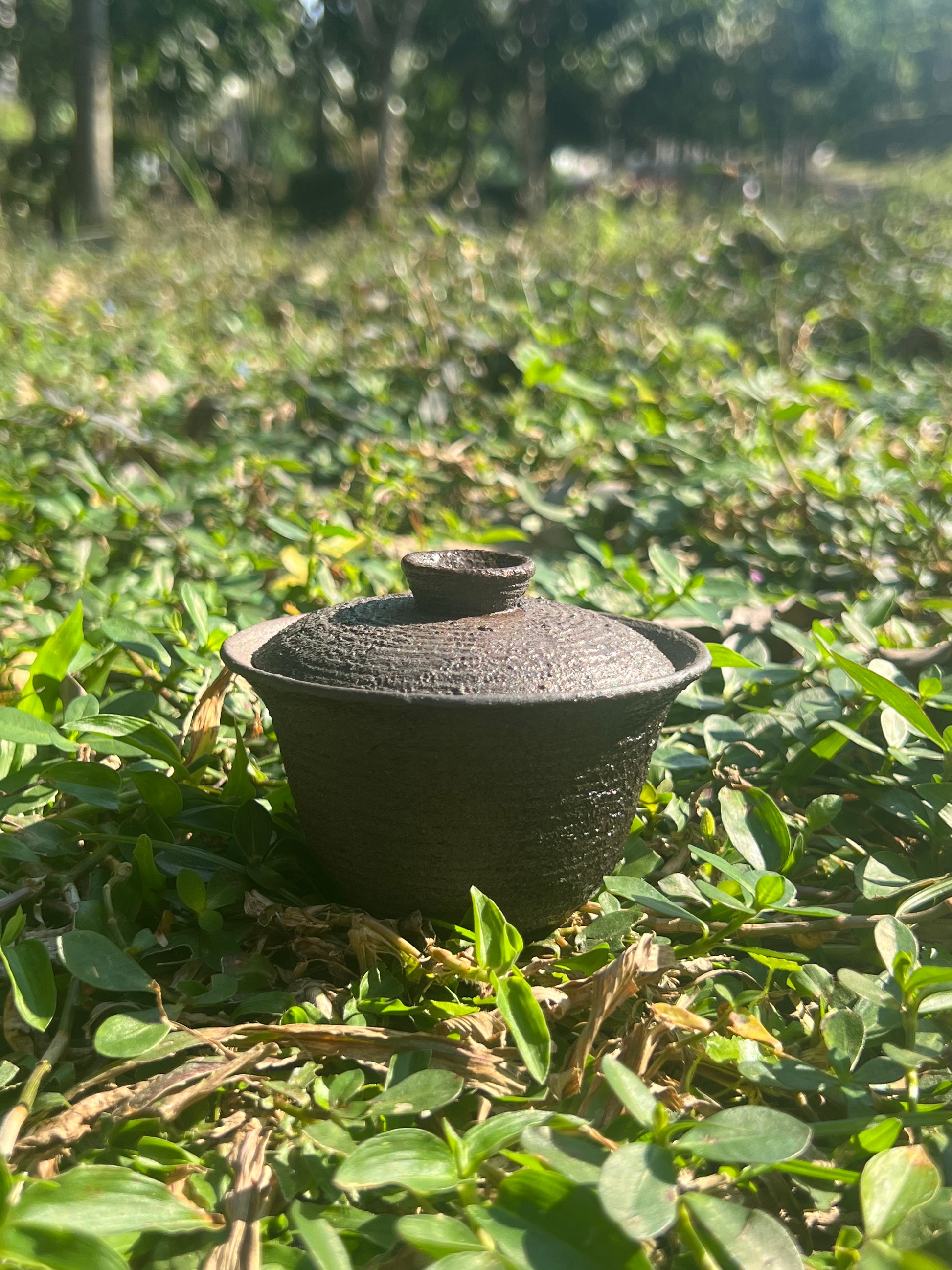 This is a pottery teapot.this is a pottery gaiwan