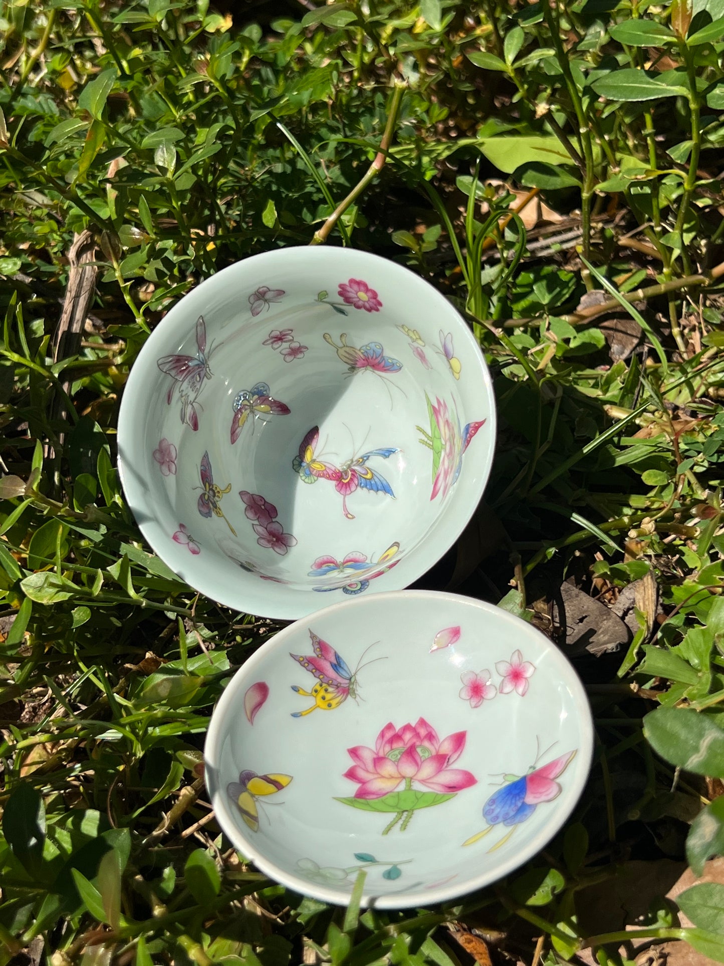 Hand Painted Chinese Butterfly Gaiwan Jingdezhen Master Ceramic Artwork