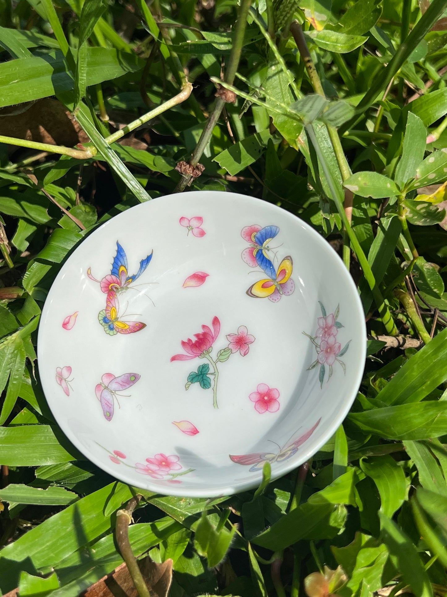 this is Chinese Jingdezhen enamel butterfly teacup. this is a ceramic teacup