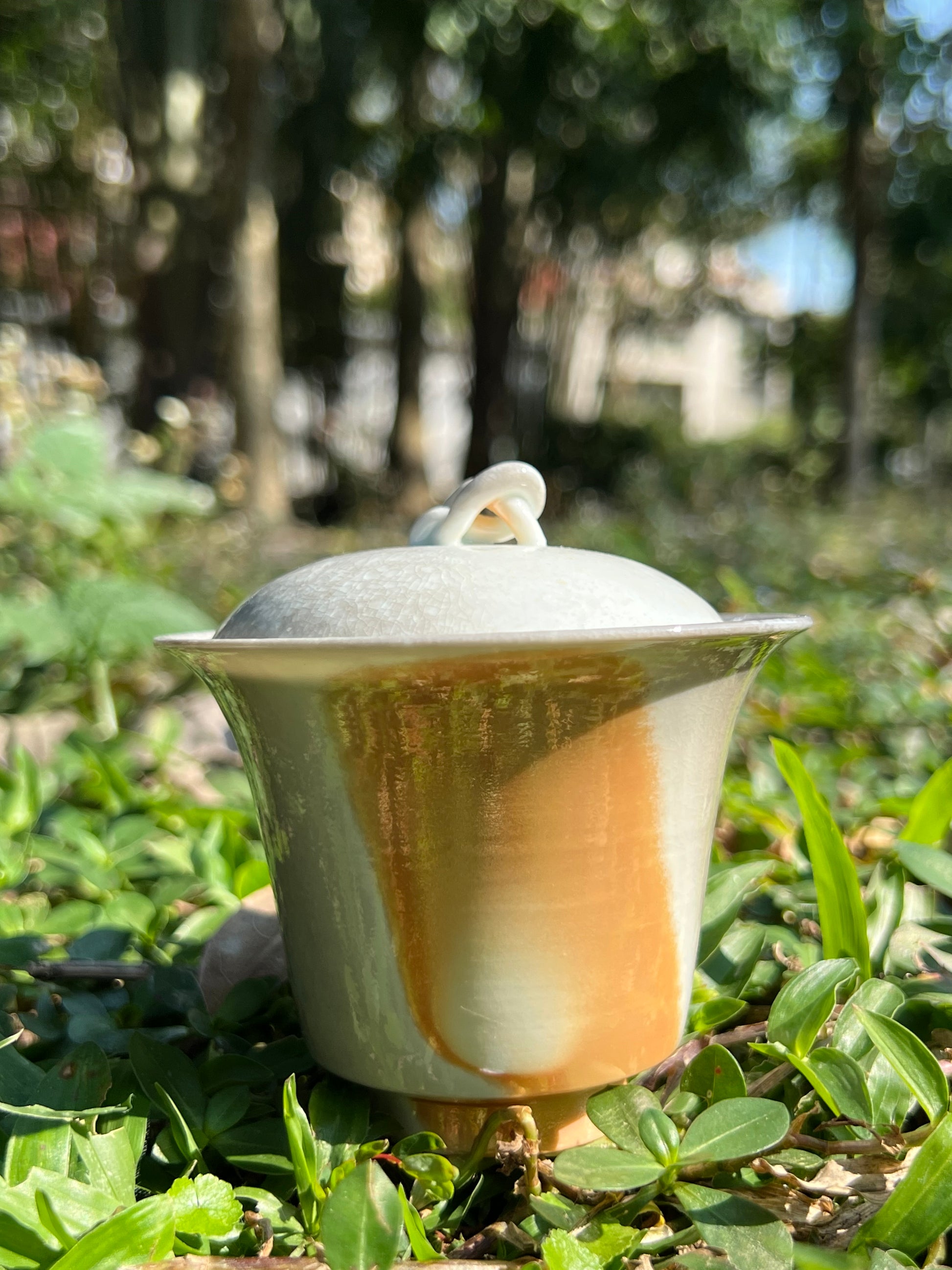 This is a woodfired pottery teapot.this is a pottery gaiwan