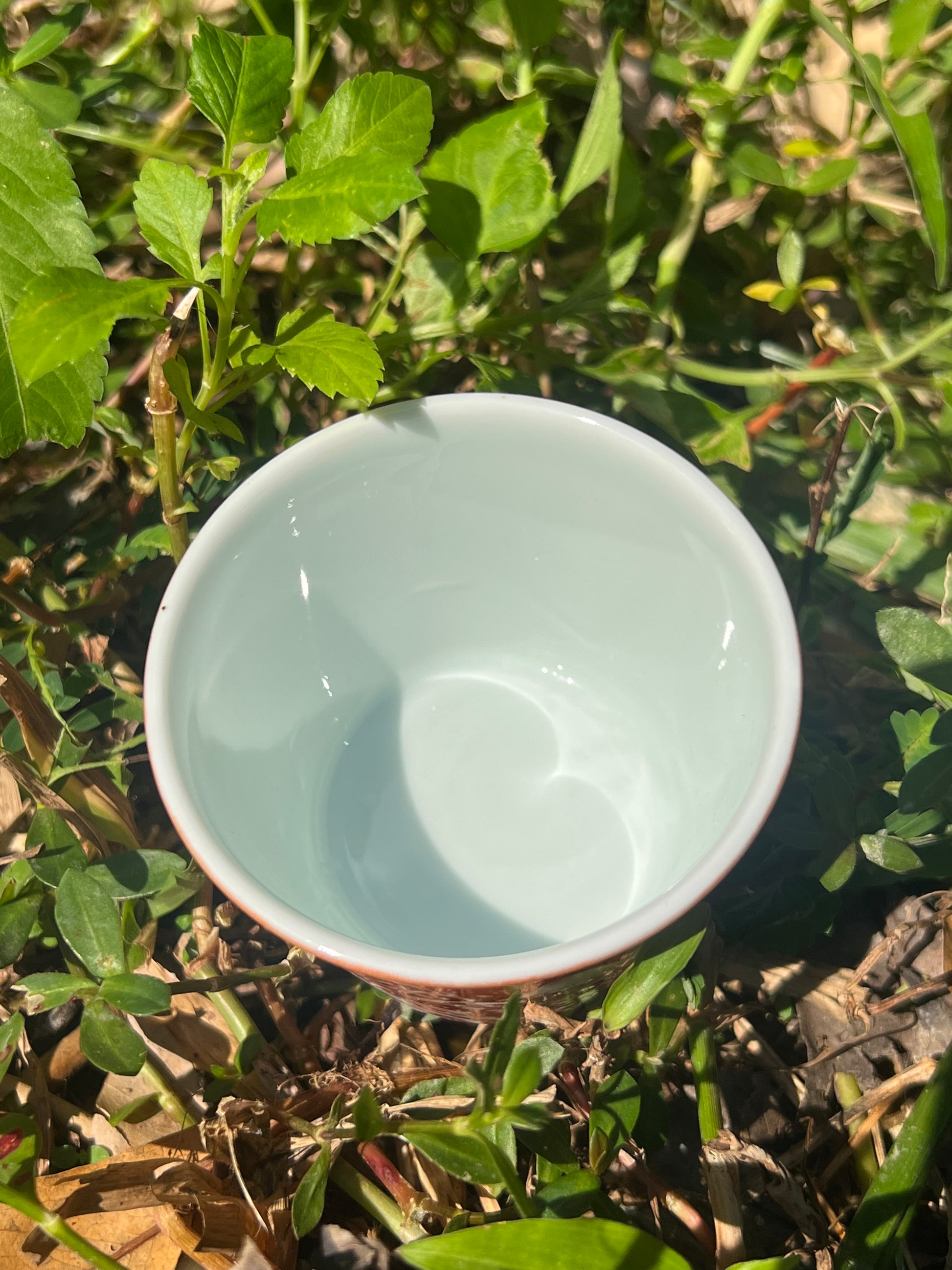 This is Chinese Jingdezhen alum red teacup. This is a ceramic teacup