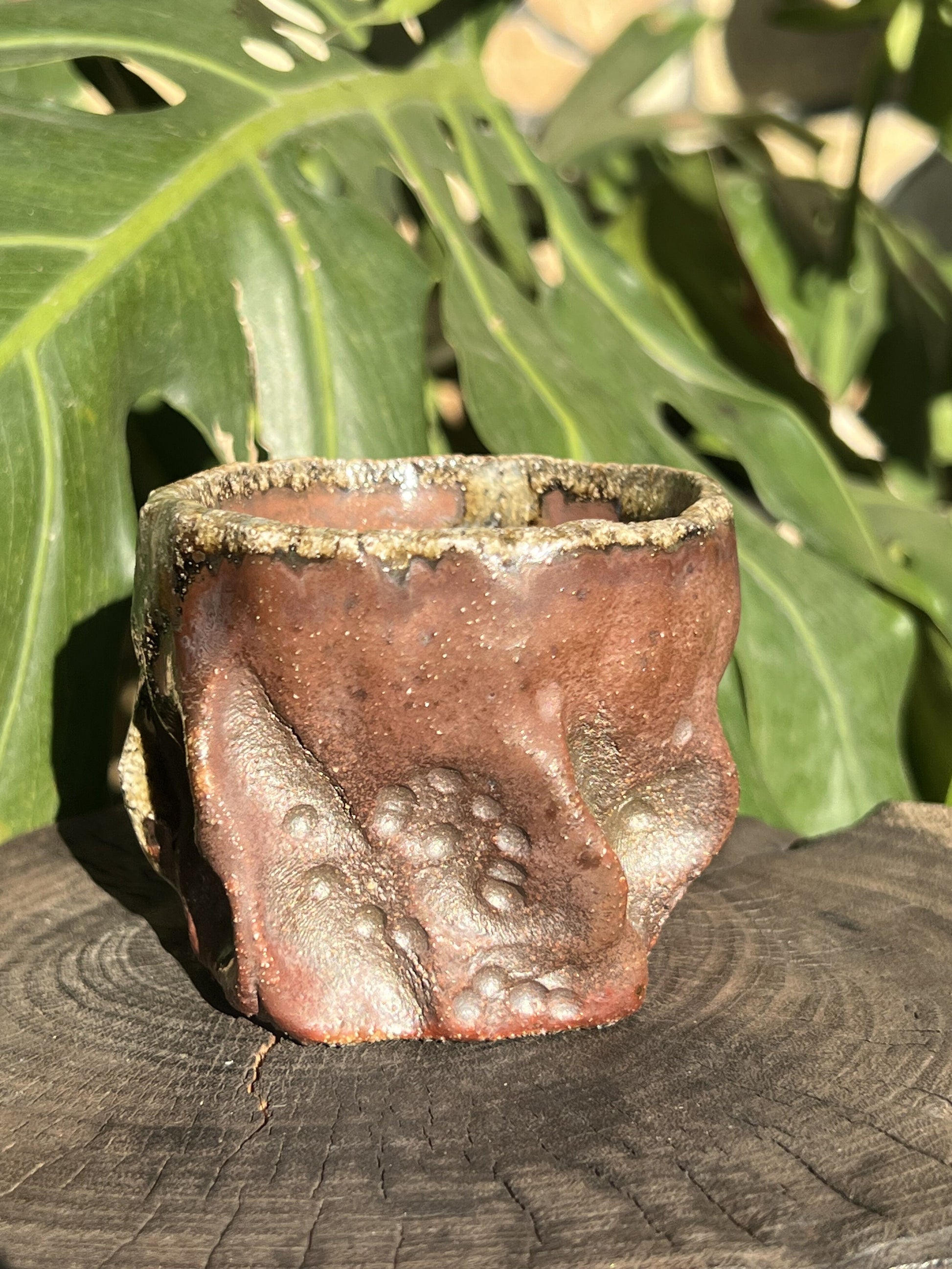 This is a woodfired pottery teacup