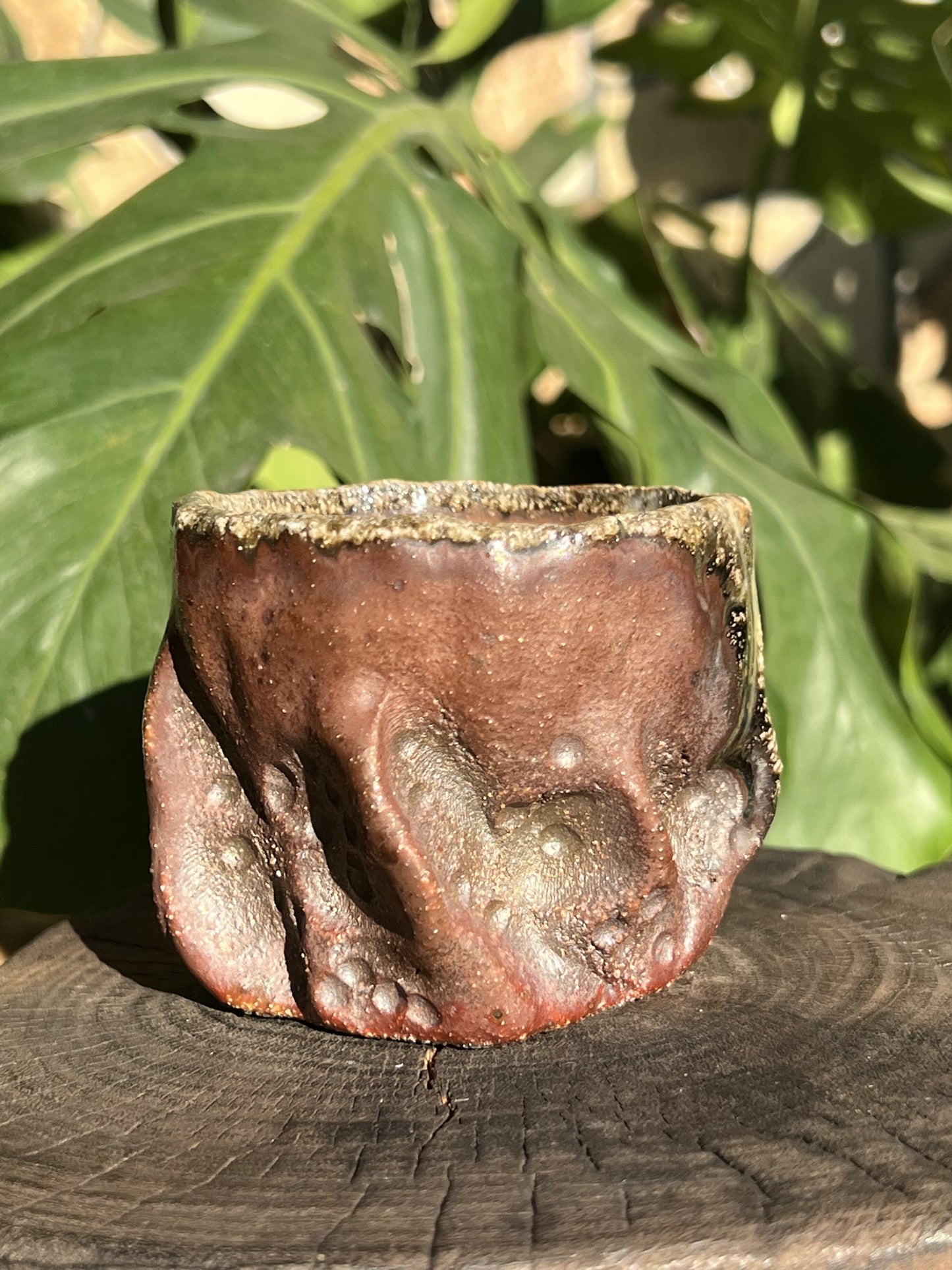 This is a woodfired pottery teacup