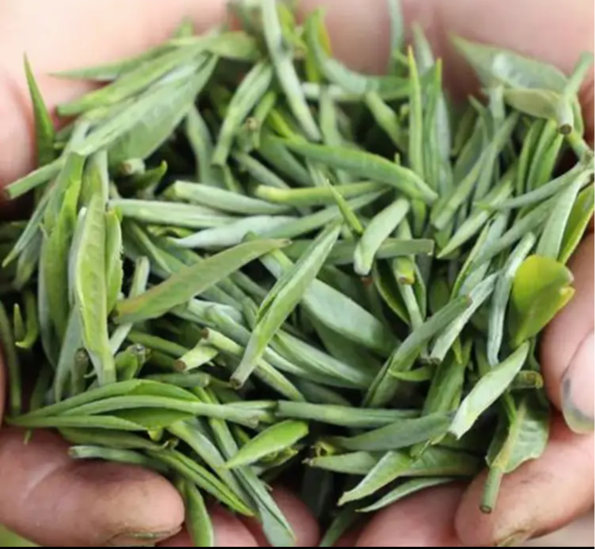 This is Chinese Yunnan silver needle white tea