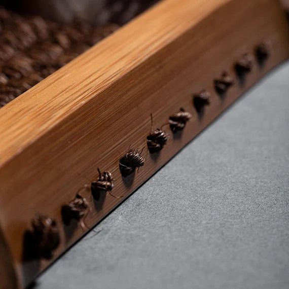 This is a palm fibre bamboo shelf bamboo rack.this is a bamboo tray