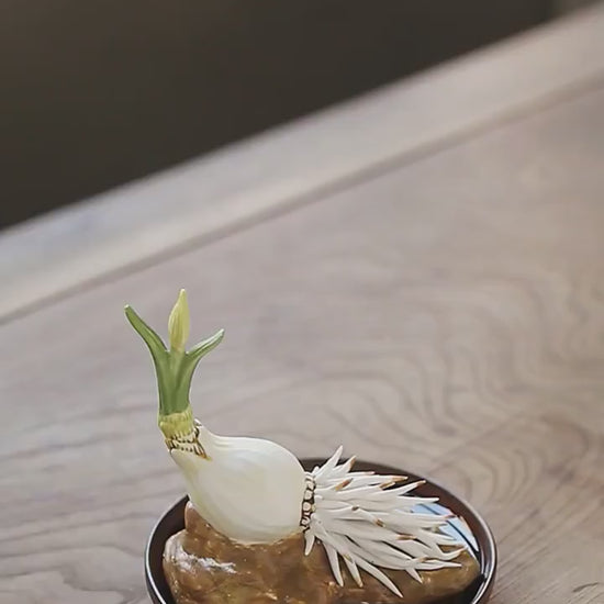 This is a ceramic flower incense holder