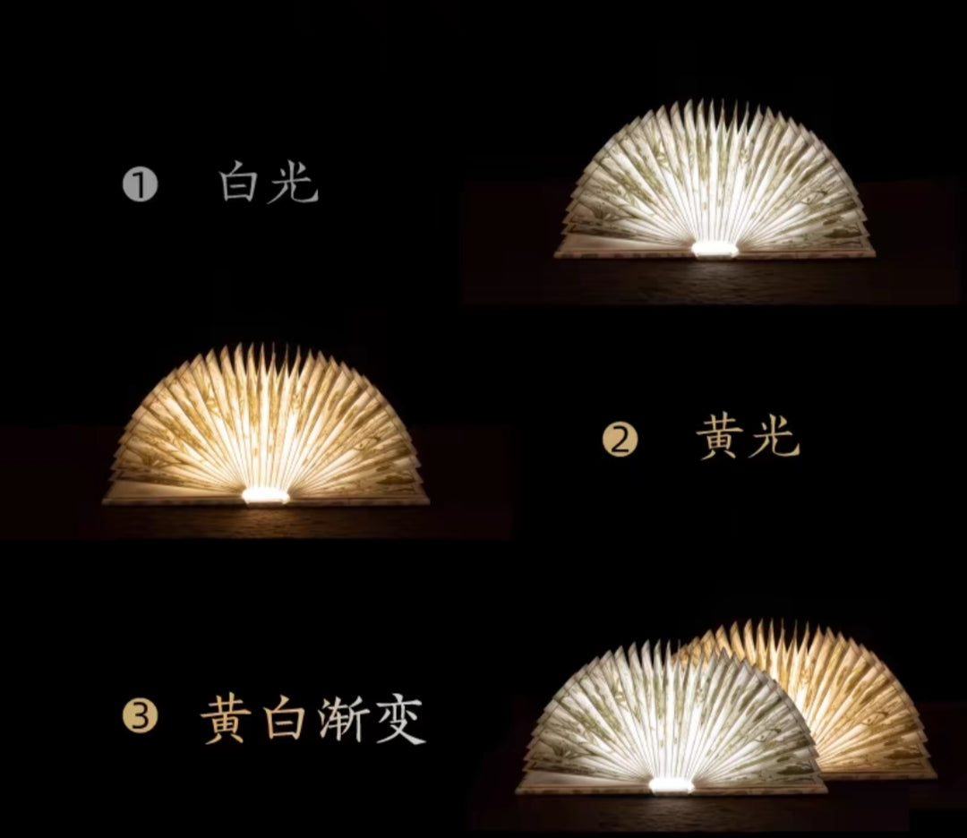 This is an electric book lamp