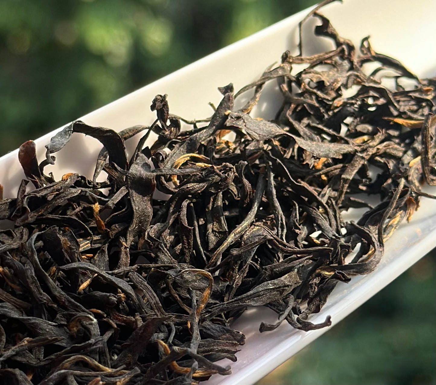 Organic Chinese Tibet Medog Black Tea High Mountain Motuo Red Tea Altitude 2200m 40g